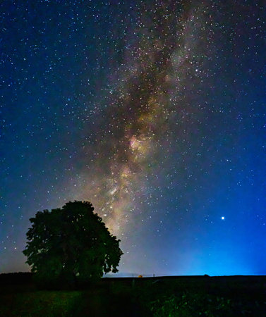 Milky Way and tree in the field at night, Long exposure photograph.