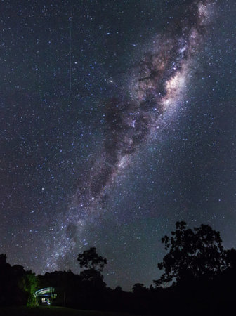 Milky Way and stars in the night sky with silhouette of treeの写真素材