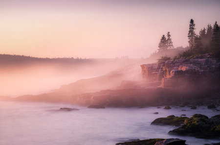 Foggy morning on the rocky coast of the Pacific Ocean.