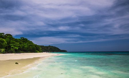 Tropical beach at Seychelles, Praslinの写真素材