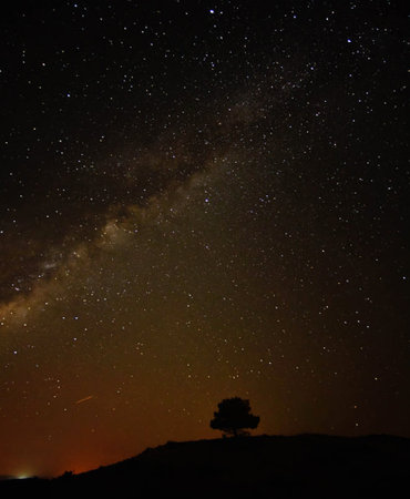 Milky Way Galaxy with a silhouette of a tree in the foregroundの写真素材