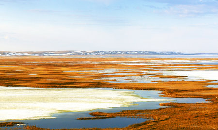 Icelandic landscape with lake and blue sky. Toned.の写真素材