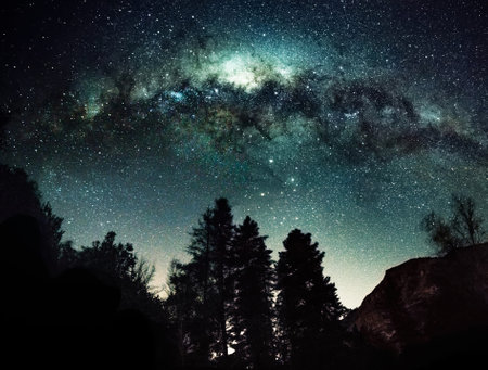 Milky Way Galaxy with Stars and Pine Trees in Gran Canariaの写真素材