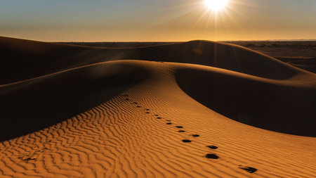 Sand dunes in the Sahara desert, Morocco, Africa. Sunsetの写真素材