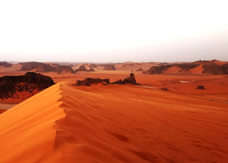Wadi Rum desert in Jordan, Middle East. Red sand dunesの写真素材
