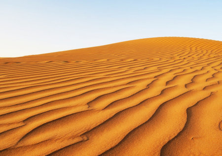 Sand dune in the Sahara desert. Morocco. Africa. Verticalの写真素材