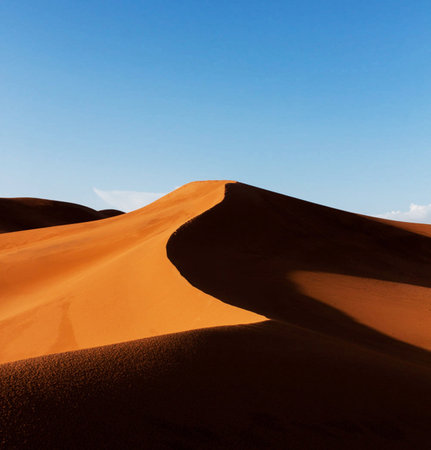 Sand dunes in the Namib Desert, Namibia, Africaの写真素材