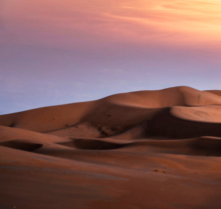 Sand dunes in the Sahara desert, Morocco. Africa. Sunset