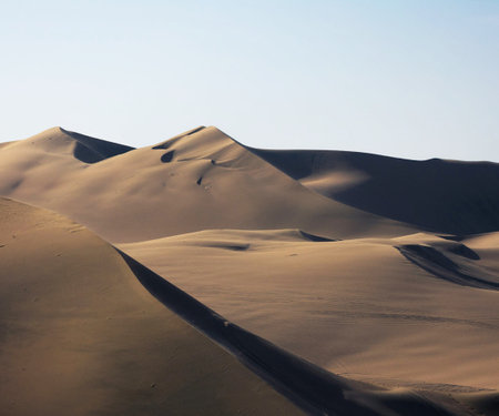 Sand dunes in Maspalomas, Gran Canaria, Canary Islandsの写真素材