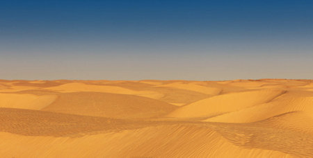 the empty quarter  and outdoor  sand  dune in oman old desert rub al khaliの写真素材