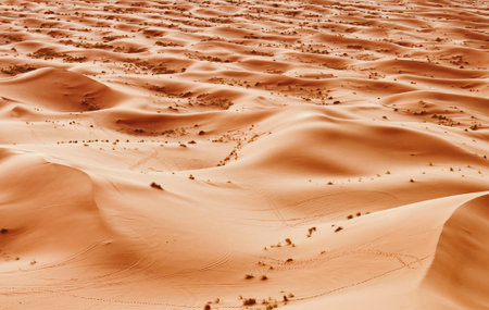 the empty quarter  and outdoor  sand  dune in oman old desert rub al khaliの写真素材