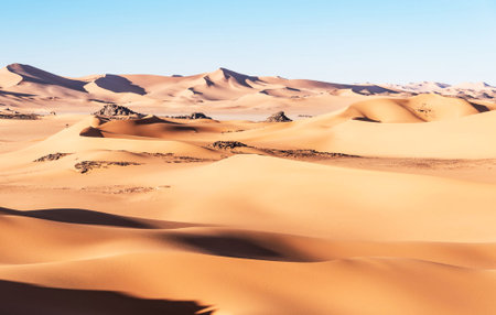 the empty quarter  and outdoor  sand dune in oman old desert rub al khaliの写真素材