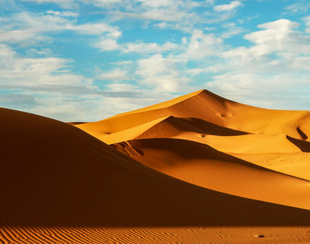 Sand dunes in the Sahara Desert, Merzouga, Moroccoの写真素材