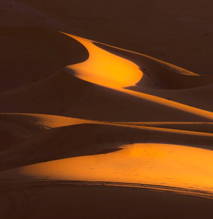 Sand dunes in the Sahara desert in Morocco, Africa, sunsetの写真素材