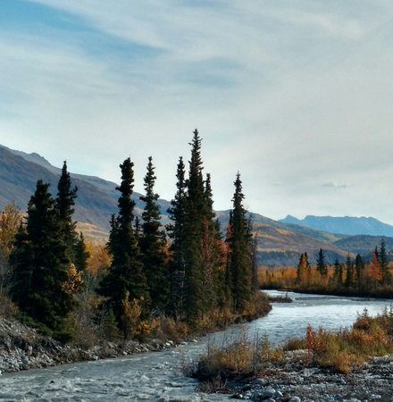 Mountain river in the Altai mountains in autumn. Russia.の写真素材