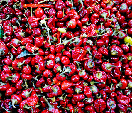 Red hot chili peppers for sale at a market in Istanbul, Turkeyの写真素材