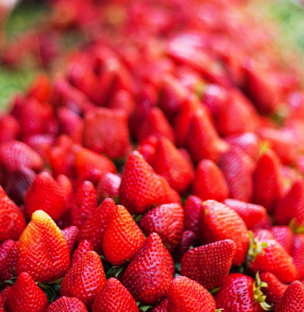 strawberry fruit on the counter of a fruit market for sale