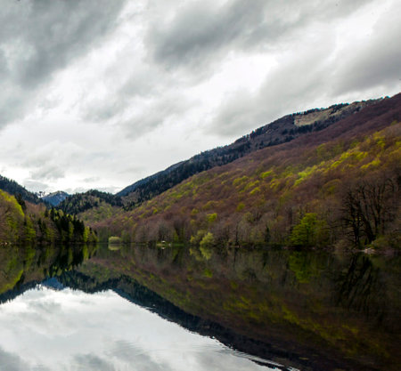 Landscape view of a lake in the mountains with forest and cloudy skyの写真素材