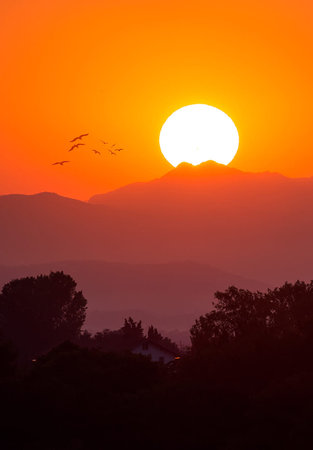 Sunset over the mountains with a flock of birds in the foregroundの写真素材