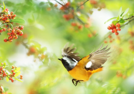 closeup shot of a beautiful bird on a branch with red berriesの写真素材