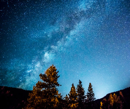 Milky Way over Pine Forest in Gran Canaria Canary Islands Spainの写真素材