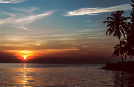 Beautiful sunset over the ocean with palm trees on the island.の写真素材