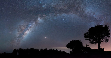 Milky Way and Tree Silhouette. Long exposure photograph.の写真素材