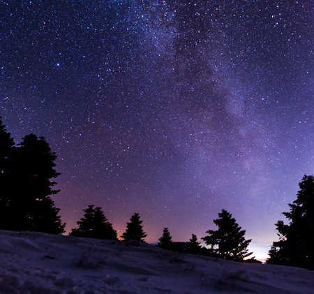 Milky way and pine trees in the mountains. Winter landscape.の写真素材