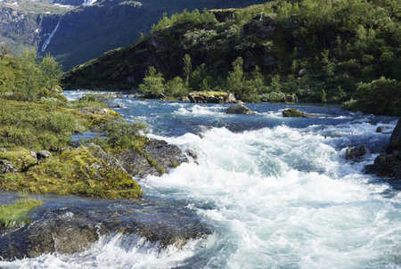 Mountain stream with rapids in summer. Norway, Scandinavia
