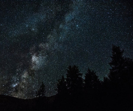 Milky Way galaxy with stars and pine forest. Long exposure photograph.