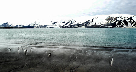 Icelandic landscape with icebergs and penguins in the foregroundの写真素材