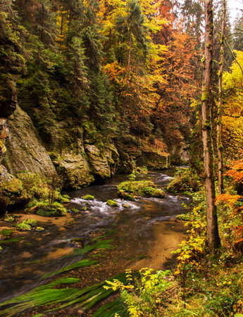 Autumn landscape with colorful forest and river in Carpathian mountainsの写真素材