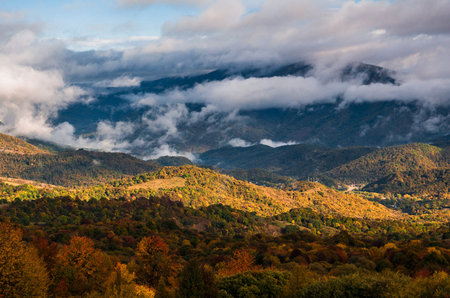 Autumn mountain landscape with colorful forest and foggy clouds at sunset