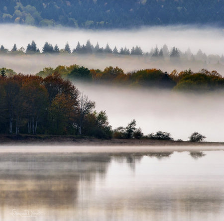 Foggy morning on the lake. Autumn landscape with fog and treesの写真素材