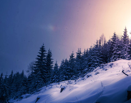 Beautiful winter landscape with snow covered fir trees in mountains at sunsetの写真素材