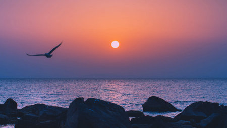Sunset over the sea with a seagull in the foregroundの写真素材
