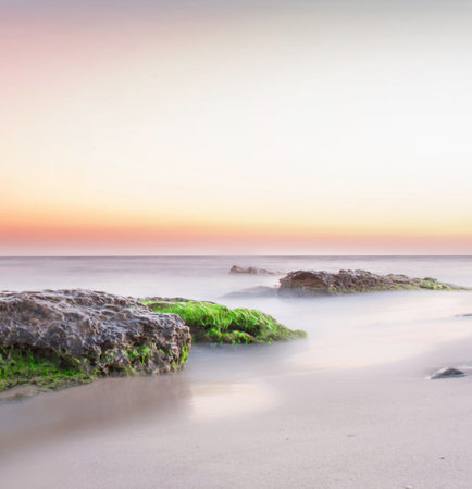 Beautiful sunset on the beach with rocks and green grass in the foregroundの写真素材