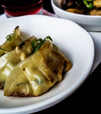 Cannelloni stuffed with mushrooms and cheese on a white plateの写真素材