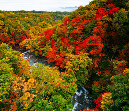 Autumn landscape of colorful forest and mountain river in autumn season.の写真素材