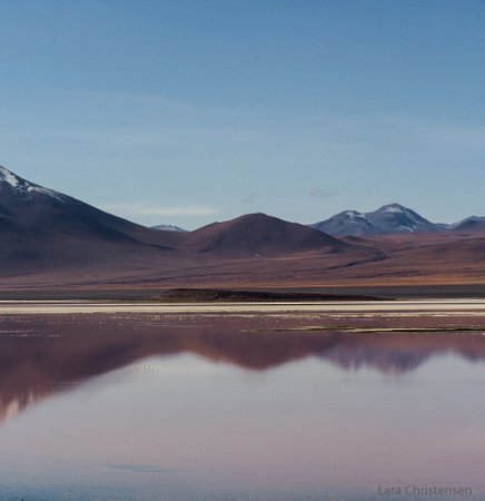 Laguna Colorada, Altiplano, Bolivia, South Americaの写真素材