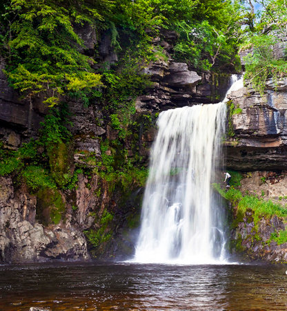 Waterfall in the forest. Summer landscape. Waterfall in the forest.