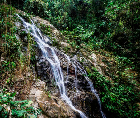 Waterfall in the forest at Chiangmai province, Thailand.