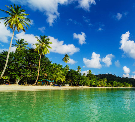 Beautiful tropical beach with coconut palm trees and blue sky at Seychellesの写真素材