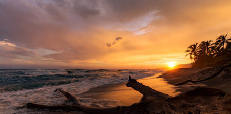 Beautiful sunset at the beach in Sri Lanka. Panorama.の写真素材