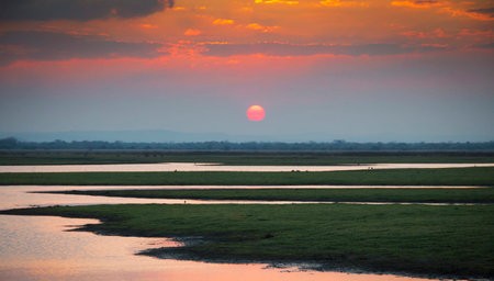 Sunset over a meadow in Chobe National Park, Botswana