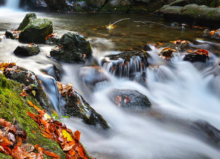 Autumn forest stream with falling leaves and rocks. Long exposure.