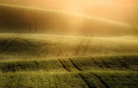 Beautiful sunset over the fields in Tuscany, Italy.