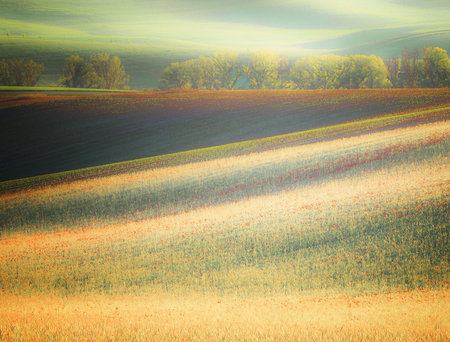 Rural landscape with green fields and blue sky. Toned.の写真素材