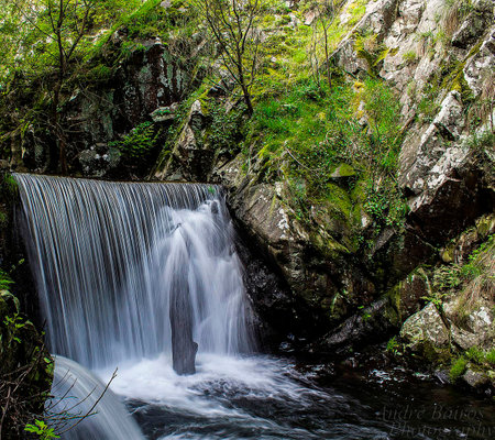 Waterfall in the mountain forest. Beautiful waterfall in the forest.の写真素材