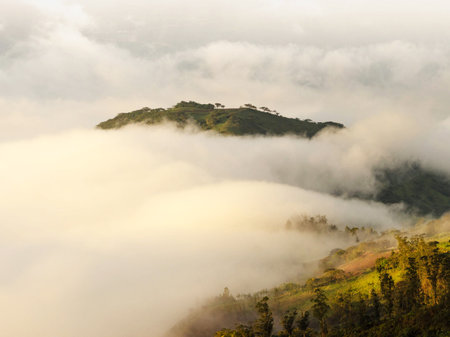 Fog on the mountain at Phu Chi Fa, Chiang Rai, Thailandの写真素材
